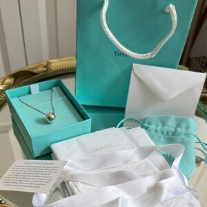 Tiffany & Co. Sterling Silver Sphere ‘the ball of NYC’  Pendant Necklace RARE